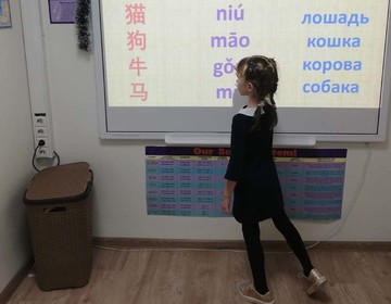 Китайский язык